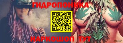 хмурый Аргун