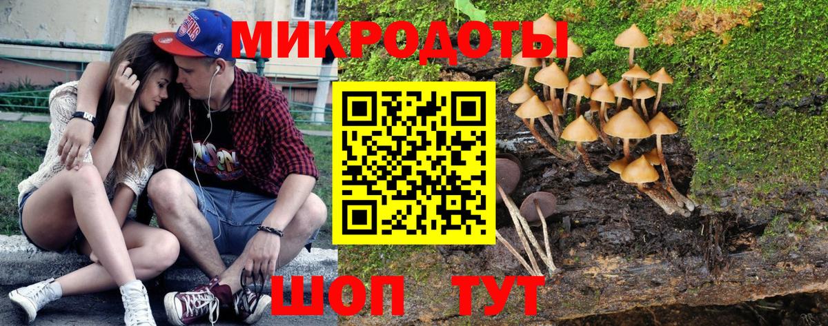 Псилоцибиновые грибы GOLDEN TEACHER Балабаново