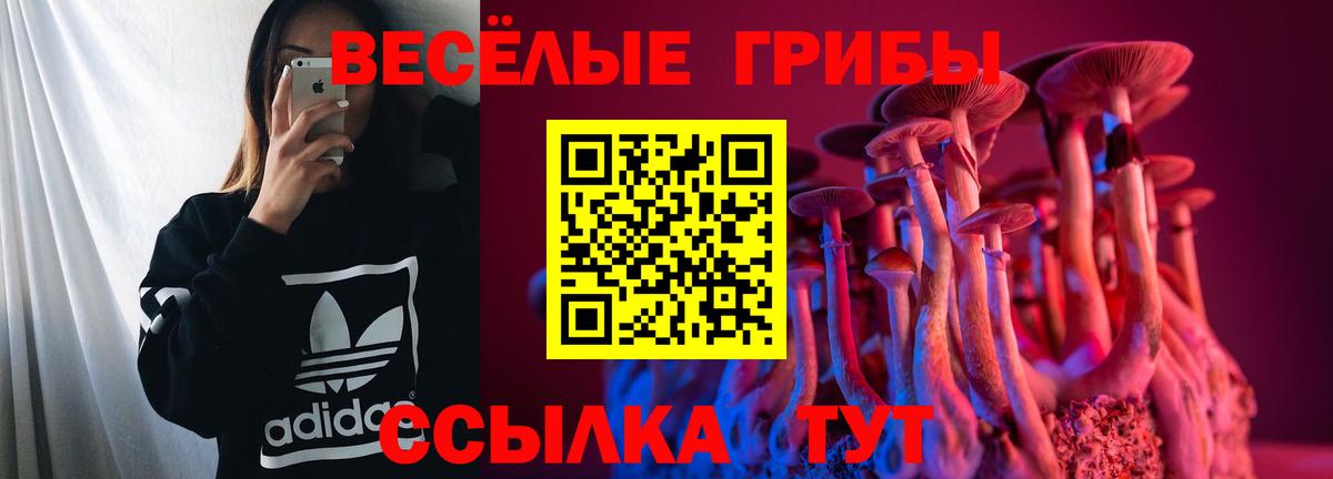 Балабаново  Псилоцибиновые грибы Psilocybine cubensis  Вход с VPN 